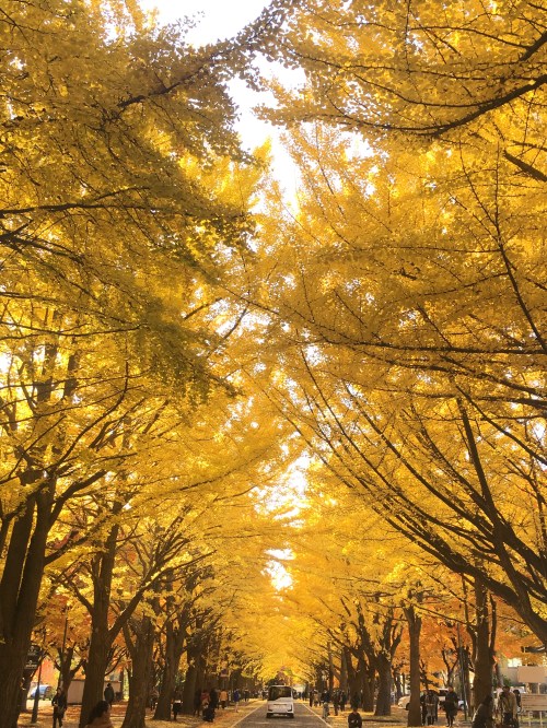 IMG_5238